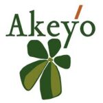 Akeyo Africa Limited logo