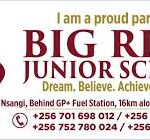 BIGRICH JUNIOR SCHOOL - NSANGI logo