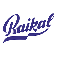  Baikal Financial Services Ltd logo