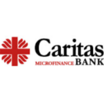  Caritas International logo
